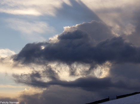 一見生き物にも見える雲おもしろ画像3
