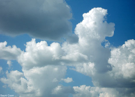 一見生き物にも見える雲おもしろ画像4