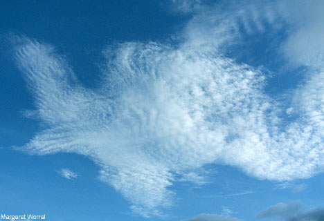 一見生き物にも見える雲おもしろ画像5